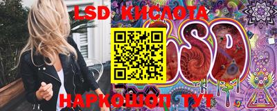 бошки Сланцы