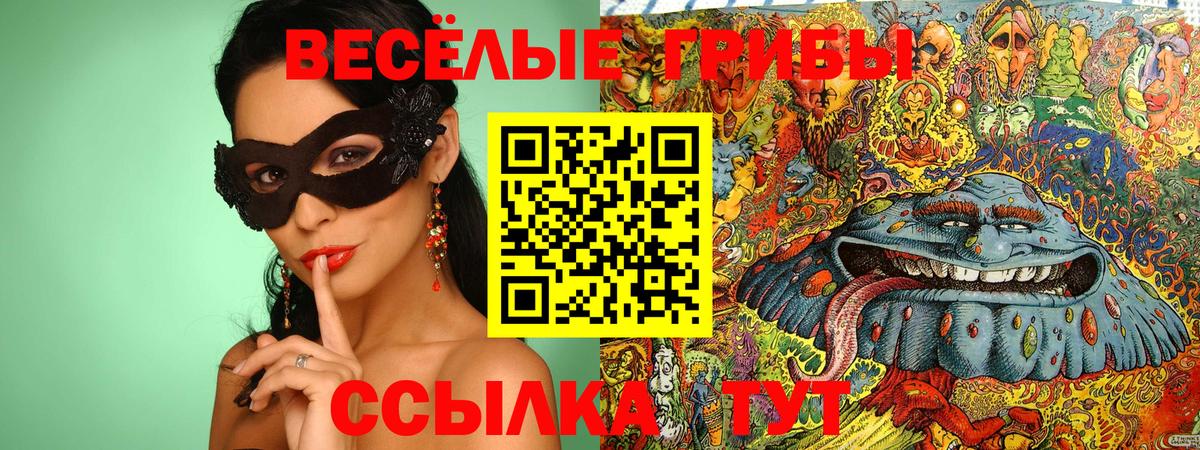 Ртищево  Галлюциногенные грибы прущие грибы  Вход с VPN  Псилоцибиновые грибы Psilocybine cubensis 